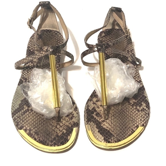 Dolce Vita Snakeskin T-strap and Gold Trim Sandals size 6 - Picture 2 of 6